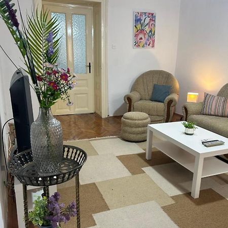 Nf'S Home Lovely Apartment In Heart Of Sarajevo Exterior photo