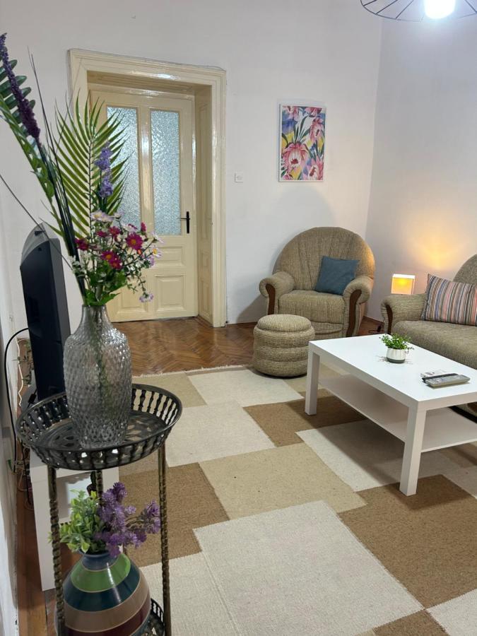 Nf'S Home Lovely Apartment In Heart Of Sarajevo Exterior photo
